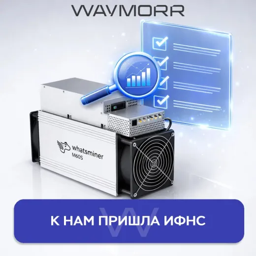 К нам пришла ИФНС