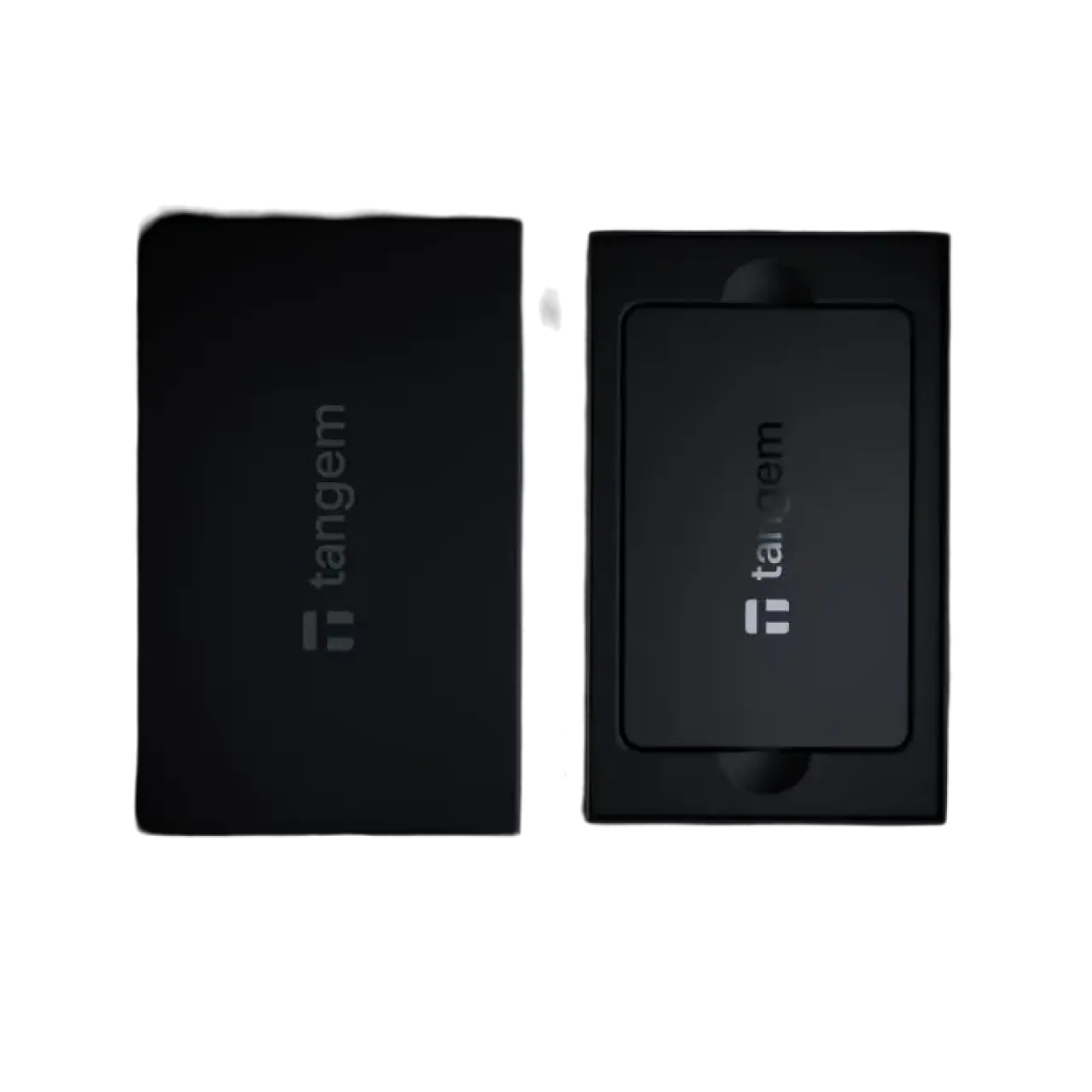 Аппаратный кошелек Tangem 2.0 (2 карты)