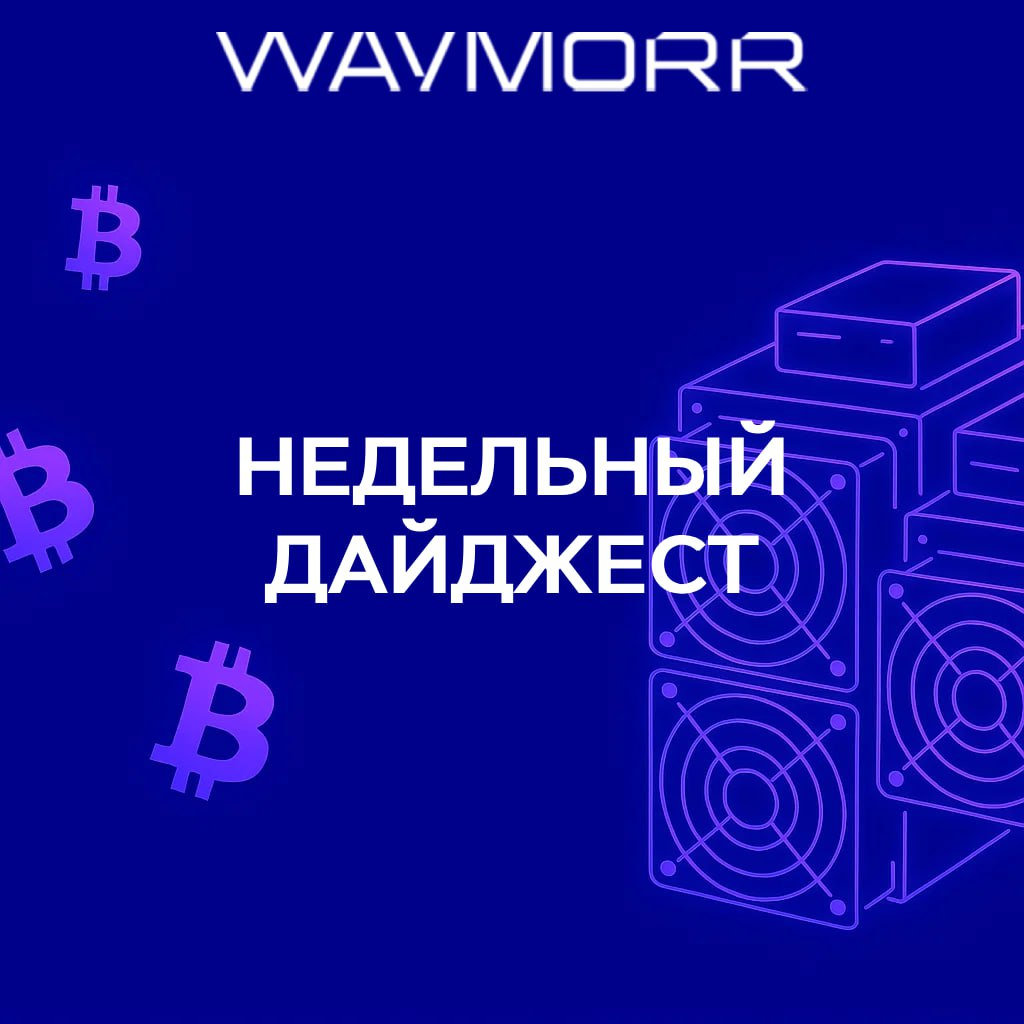 Дайджест 15.08.2025